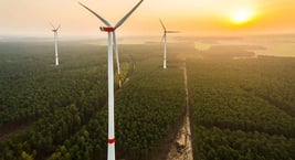 A Global Wind Energy Industry Perspective on Integrating Non-Price Criteria into Auction Frameworks